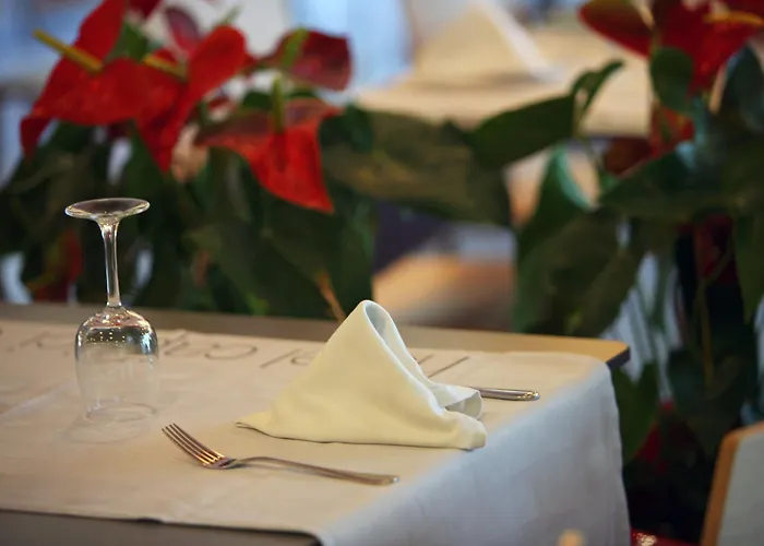 Alegria Caprici Verd 4 Sup Santa Susanna