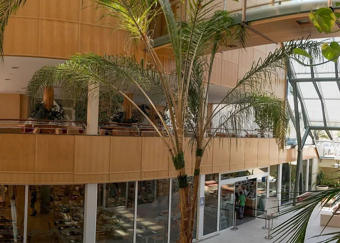 Alegria Caprici Verd 4 Sup 4* Santa Susanna